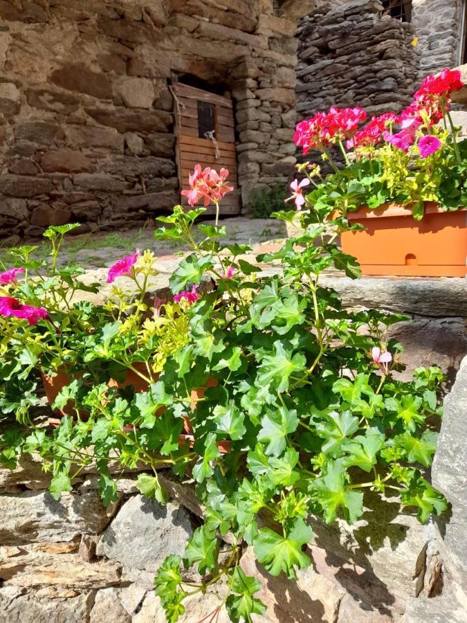 Bed & Breakfast La Crotta Pont-Saint-Martin Buitenkant foto